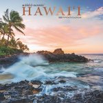Hawaii Wild & Scenic 2025 12 X 24 Inch Monthly Square Wall Calendar Foil Stamped Cover Plastic-Free