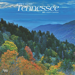 Tennessee Wild & Scenic 2025 12 X 24 Inch Monthly Square Wall Calendar Plastic-Free