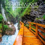 Pathways 2025 12 X 24 Inch Monthly Square Wall Calendar Plastic-Free