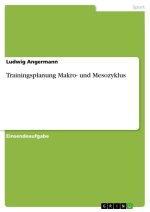 Trainingsplanung Makro- und Mesozyklus