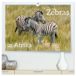 Zebras in Afrika (hochwertiger Premium Wandkalender 2025 DIN A2 quer), Kunstdruck in Hochglanz