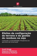Efeitos da configuração do terreno e da gestão de resíduos na soja