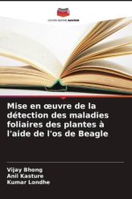 Mise en oeuvre de la détection des maladies foliaires des plantes à l'aide de l'os de Beagle