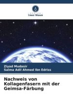 Nachweis von Kollagenfasern mit der Geimsa-Färbung