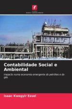 Contabilidade Social e Ambiental