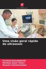 Uma visão geral rápida do ultrassom