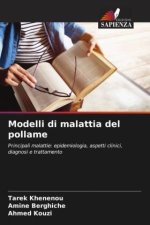 Modelli di malattia del pollame