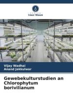Gewebekulturstudien an Chlorophytum borivilianum