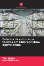 Estudos de cultura de tecidos em Chlorophytum borivilianum
