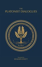 The Platonist Dialogues