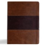 KJV Study Bible, Large Print Edition, Saddle Brown Leathertouch