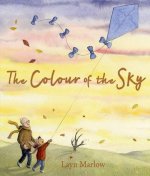 The Colour of the Sky  (Paperback)