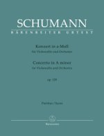 Konzert für Violoncello und Orchester in a-Moll op. 129