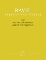 Trio für Klavier, Violine und Violoncello