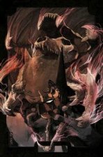 BATMAN DETECTIVE COMICS 14