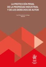 LA PROTECCION PENAL DE LA PROPIEDAD INDUSTRIAL Y DE LOS DERE