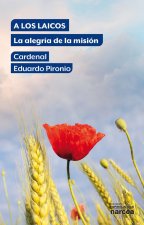A LOS LAICOS:LA ALEGRIA DE LA MISION