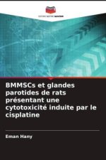 BMMSCs et glandes parotides de rats présentant une cytotoxicité induite par le cisplatine