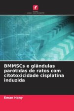 BMMSCs e glândulas parótidas de ratos com citotoxicidade cisplatina induzida