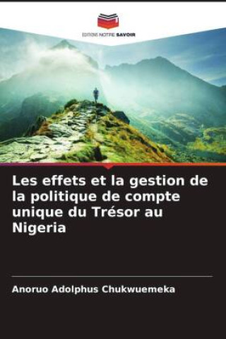 Les effets et la gestion de la politique de compte unique du Trésor au Nigeria