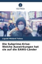 Die Subprime-Krise: Welche Auswirkungen hat sie auf die EAWU-Länder