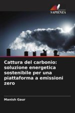 Cattura del carbonio: soluzione energetica sostenibile per una piattaforma a emissioni zero