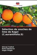 Sélection de souches de lime de Kagzi (C.aurantifolia.S)