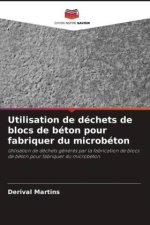 Utilisation de déchets de blocs de béton pour fabriquer du microbéton