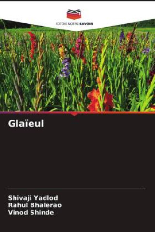 Glaïeul