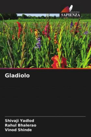 Gladiolo