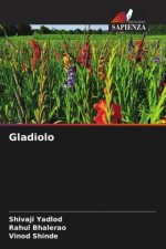 Gladiolo