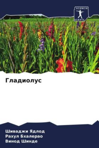 Gladiolus