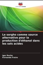 Le sorgho comme source alternative pour la production d'éthanol dans les sols acides