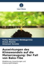 Auswirkungen des Klimawandels auf die Maiserzeugung: Der Fall von Bako-Tibe