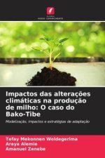 Impactos das alterações climáticas na produção de milho: O caso do Bako-Tibe