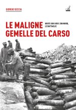 maligne gemelle del Carso. Quote 208 Sud e 208 Nord, le battaglie