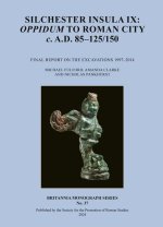 Silchester Insula IX: Oppidum to Roman City C. A.D. 85-125/150