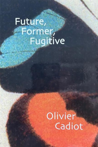 FUTURE FORMER FUGITIVE