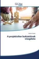 A projektsiker buktatóinak vizsgálata
