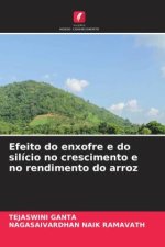 Efeito do enxofre e do silício no crescimento e no rendimento do arroz