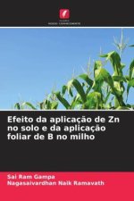 Efeito da aplicaç?o de Zn no solo e da aplicaç?o foliar de B no milho