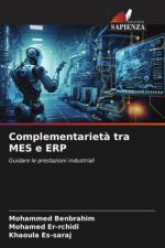 Complementariet? tra MES e ERP