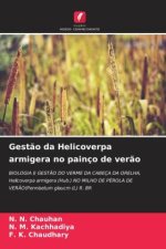 Gest?o da Helicoverpa armigera no painço de ver?o
