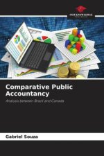 Comparative Public Accountancy