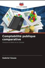 Comptabilité publique comparative