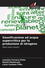 Gassificazione ad acqua supercritica per la produzione di idrogeno