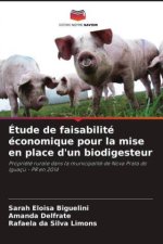 Étude de faisabilité économique pour la mise en place d'un biodigesteur
