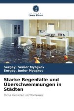 Starke Regenfälle und Überschwemmungen in Städten