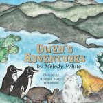 Owen's Adventures