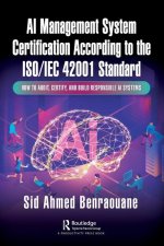 AI Management System Auditing and Compliance According to the ISO/IEC 42001 Standard